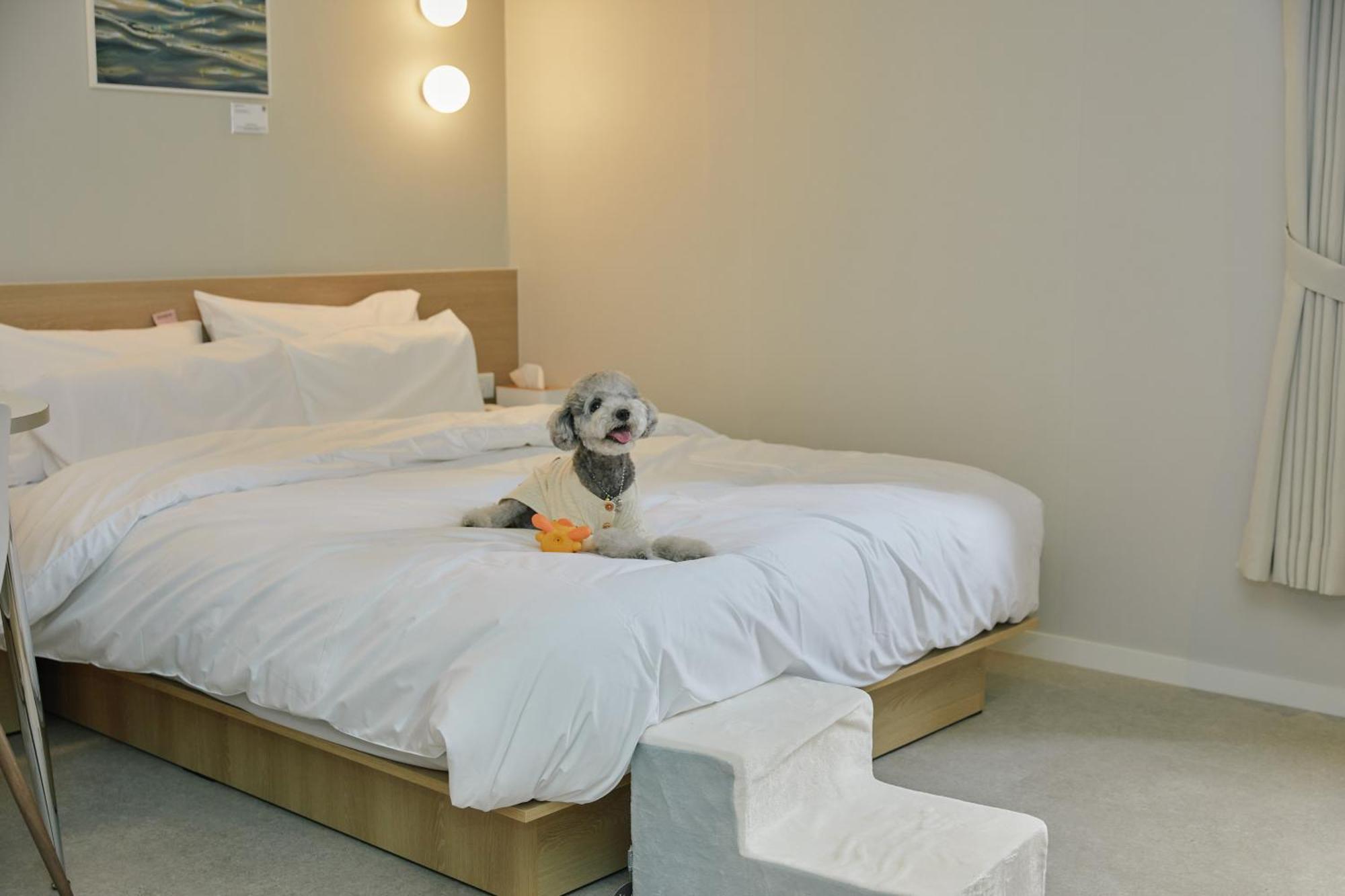 Aank Hotel Incheon Songdo Exterior foto